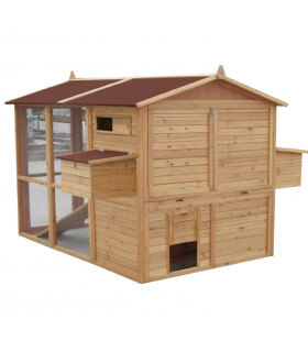 Chicken Home Xxl