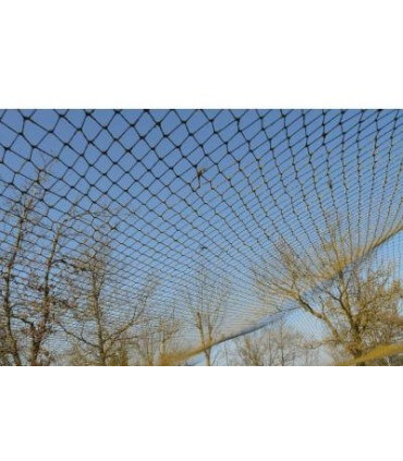 Filet de protection pour volailles, étang, volière, contre les oiseaux de  proie, 10 x 10 m, noir
