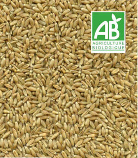 25 kg Grain Graines de Blé Aliments pour Animaux Poulet Volaille DML