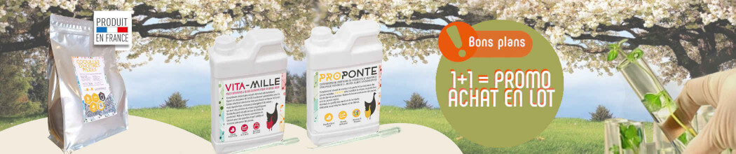 Pulmo Phyt - Respirez l'air pur de la santé, un remède naturel qui  contribue à la fonction respiratoires de vos poules.